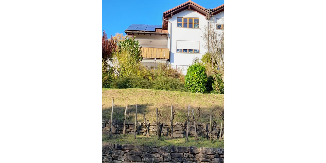 Rückansicht des Hauses, im Vordergrund Weinstöcke, Wiese und Büsche. Man sieht die 30 m² Photovoltaik auf dem Dach