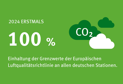 Die Infografik zeigt eine Auswahl an Tabletten. Mittlerweile wurden in Deutschland 414 verschiedene Arzneimittelrückstände in der Umwelt nachgewiesen.