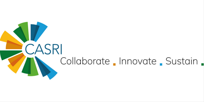 Logo des EU Projekts CASRI