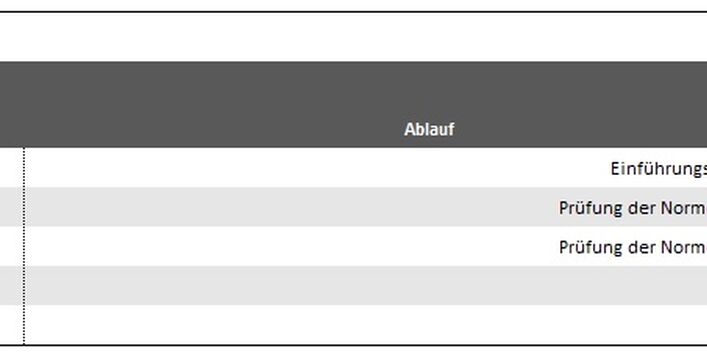 Grafik Element 12 - Interne Audits: Auditdetailplan