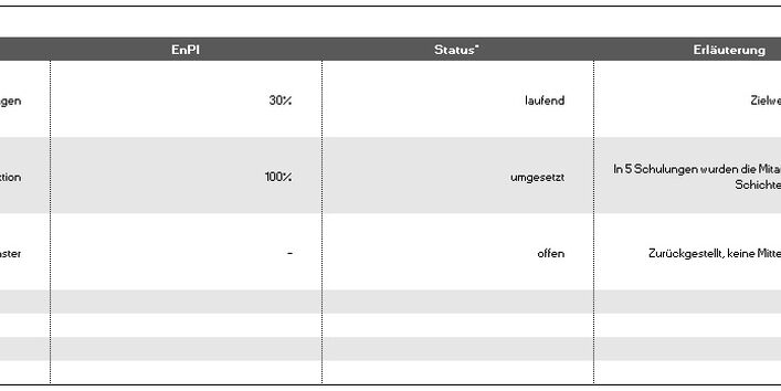 Grafik Element 12 - Managementbewertung: Zielerreichung