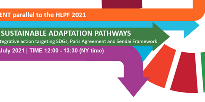 Grafik zum Event parallel zu den Sustainable Adaptation Pathways 2021