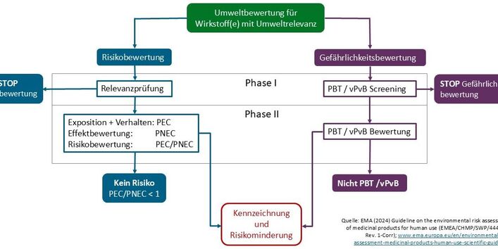 Ablaufschema einer Umweltverträglichkeitsprüfung für Humanarzneimittel (Stand 2024)