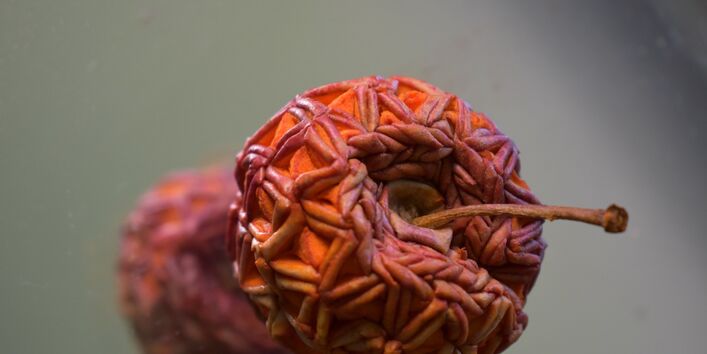 Ein kunstvoll geschnitzter Apfel