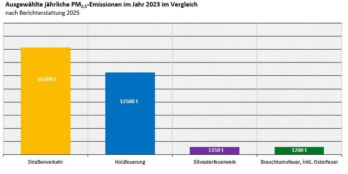 Das Diagramm zeigt ausgewählte PM2,5-Emissionen im Jahr 2023 im Vergleich