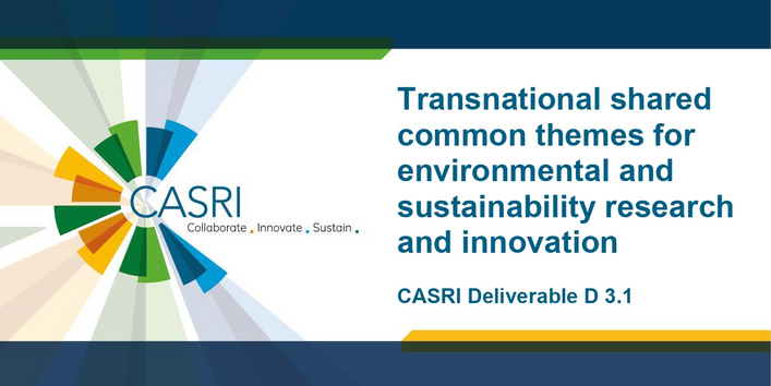 The cover page of the article is shown, a dark blue A4 page with a white field containing the title. On the right edge is the CASRI logo.