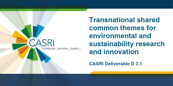 Die Coverseite des Artikels wird gezeigt, eine dunkelblaue DinA4 Seite mit weißem Feld, in dem der Titel steht. Am rechten Rand das CASRI-Logo.