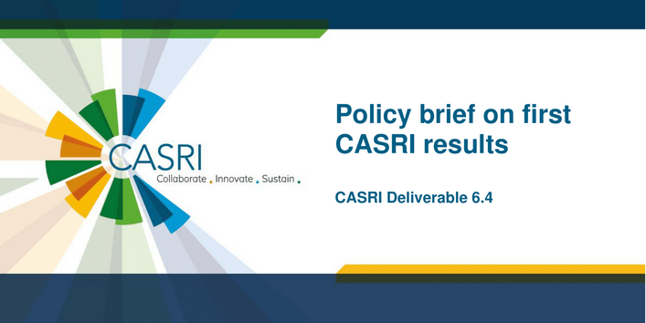 Die Coverseite des Artikels wird gezeigt, eine dunkelblaue DinA4 Seite mit weißem Feld, in dem der Titel steht. Am rechten Rand das CASRI-Logo.