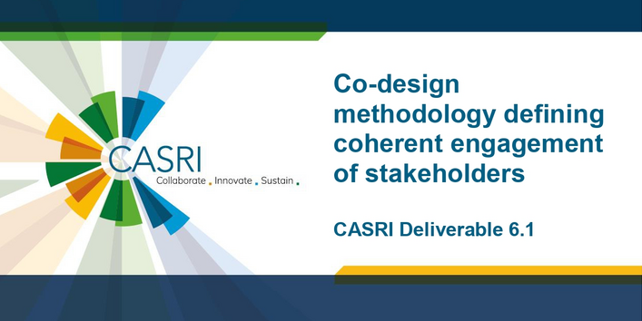 Die Coverseite des Artikels wird gezeigt, eine dunkelblaue DinA4 Seite mit weißem Feld, in dem der Titel steht. Am rechten Rand das CASRI-Logo.