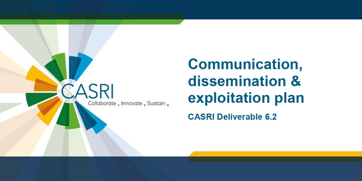 Die Coverseite des Artikels wird gezeigt, eine dunkelblaue DinA4 Seite mit weißem Feld, in dem der Titel steht. Am rechten Rand das CASRI-Logo.