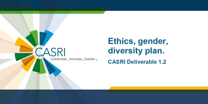 The cover page of the article is shown, a dark blue A4 page with a white field containing the title. On the right edge is the CASRI logo.