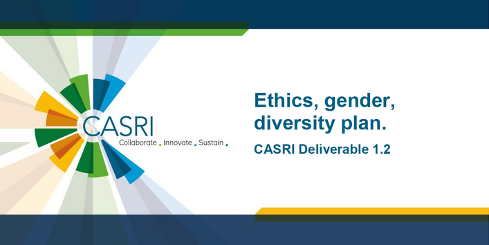 Die Coverseite des Artikels wird gezeigt, eine dunkelblaue DinA4 Seite mit weißem Feld, in dem der Titel steht. Am rechten Rand das CASRI-Logo.