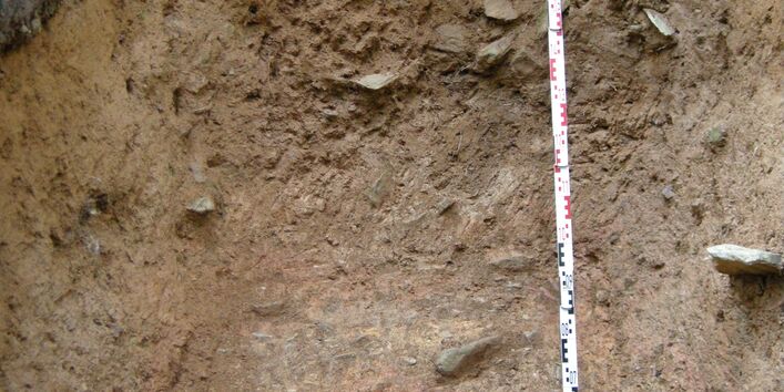 Bodenprofil einer Pseudogley-Braunerde