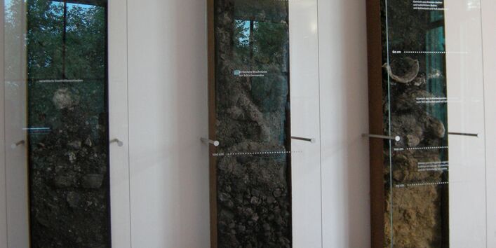 Bodenprofile im RVR-Besucherzentrum Emscher Landschaftspark Haus Ripshorst