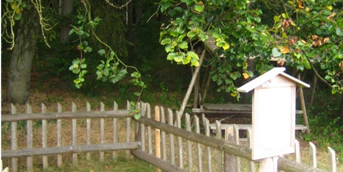 Foto eines weitern Profils