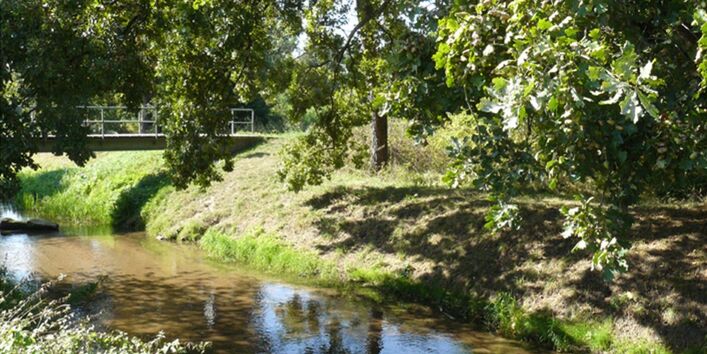 Foto der Landschaft des Lehrpfades