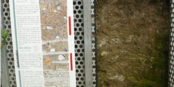 Foto einer Braunerde-Pararendzina mit Schautafel