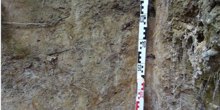 Foto einer Pseudogley-Braunerde