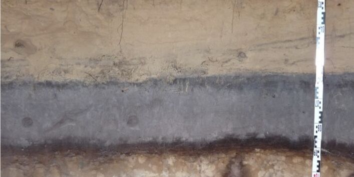 Foto eines gut ausgebildenten Podsols