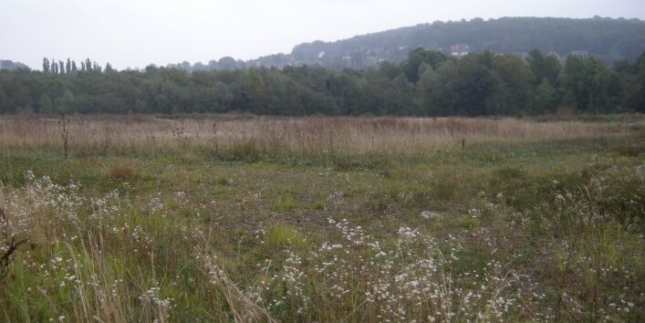  Foto der Landschaftsentwicklung auf der ehemaligen Deponie Eskeberg