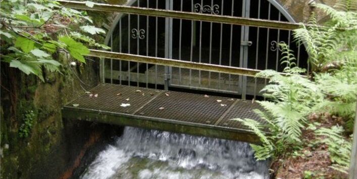 Foto eines Entwässerungsstollen des Triebischtals