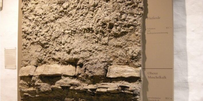Foto eines Bodenprofils aus Löss, ausgestellt im Museum