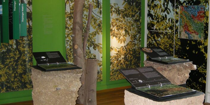 Foto der Ausstellung im Museum