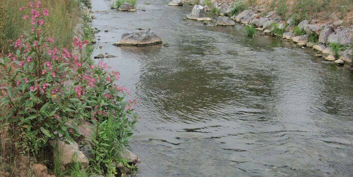 Foto: Eine flache Sohlgleite in der Helme bei Nordhausen. Mehrere Störsteine sind in das Gewässer eingebaut. Die Ufer sind mit größeren Steinen befestigt.