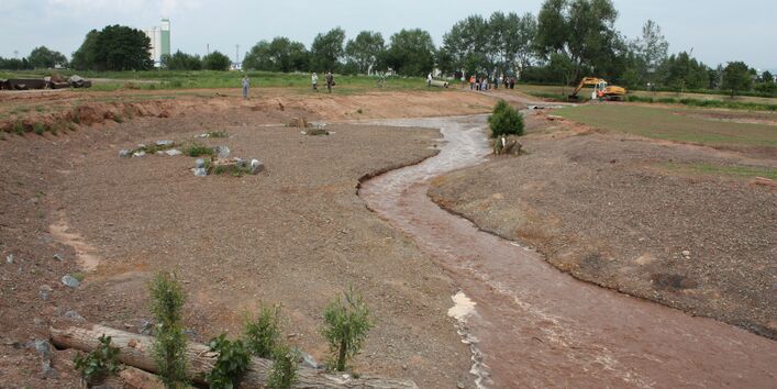 Foto: Ein Raubaum in der Helme kurz nach Fertigstellung der Baumaßnahmen. Die Ufer, teilweise aus grobem Kies, sind noch frei von jeglicher Vegetation.
