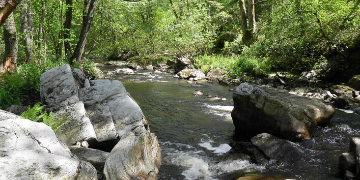 Stones of different sizes characterise the riverbed along the river Rur near Monschau in the Eifel in North Rhine-Westphalia. The riverbanks are covered with trees.