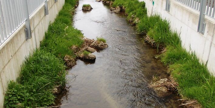 A narrow stream runs between two concrete walls. Small banks separate the water from the concrete walls and offer some near-natural elements like narrowing, widening and small bifurcations. The banks are covered with grass.