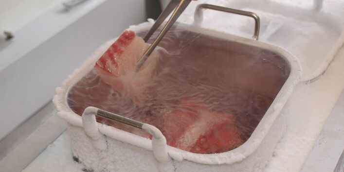 Processing of a fish samples at the University of Trier