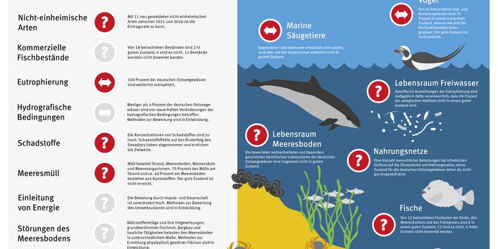 Infografik: Zustand der deutschen Ostseegewässer