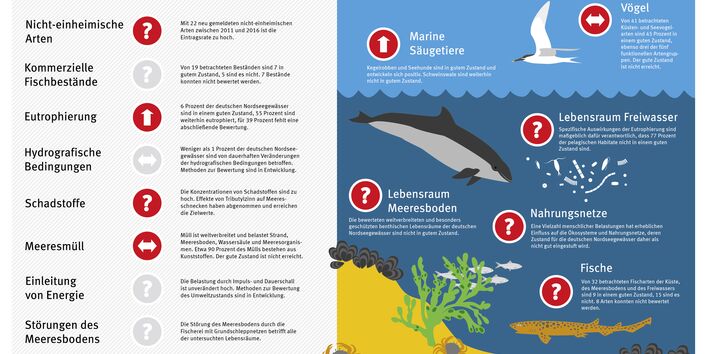 Infografik: Zustand der deutschen Nordseegewässer