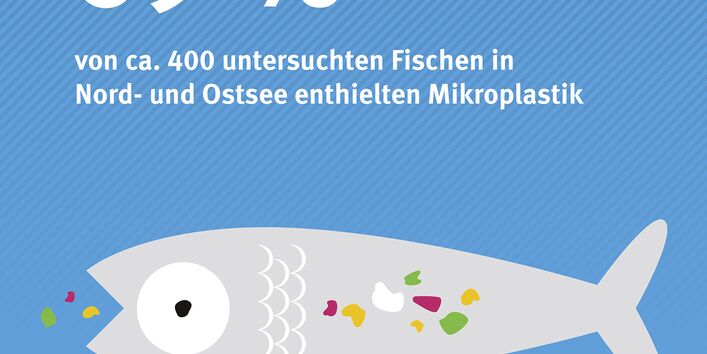 Plastik in Fischen