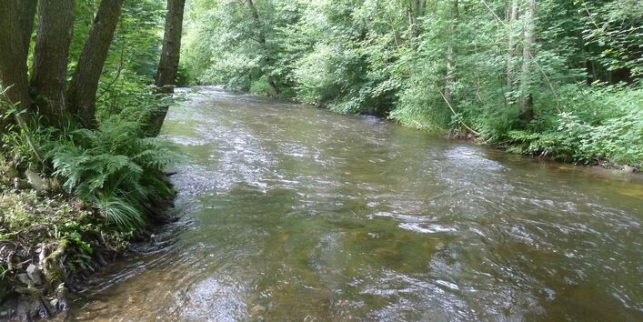 Foto des Flusses Ruwer