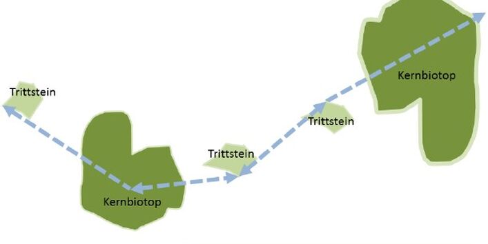 Kernnetz des Blauen Bandes