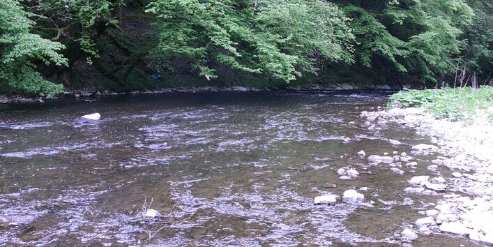 Foto des Flusses Lieser