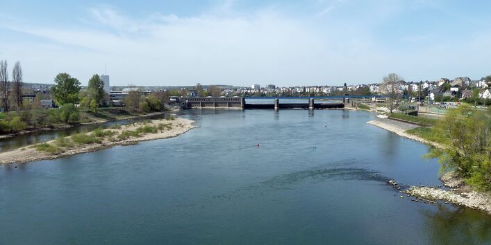 Blick auf die Mosel