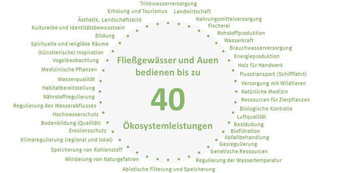Abbildung über 40 Ökosystemleistungen