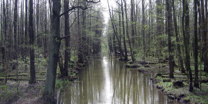 Kanal im Spreewald