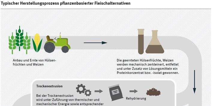 Typischer Herstellungsprozess pflanzenbasierter Fleischalternativen