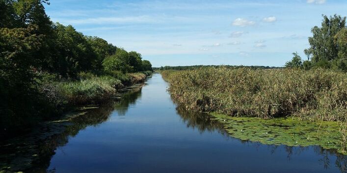 Zu sehen ist eine bewässerte Moorfläche