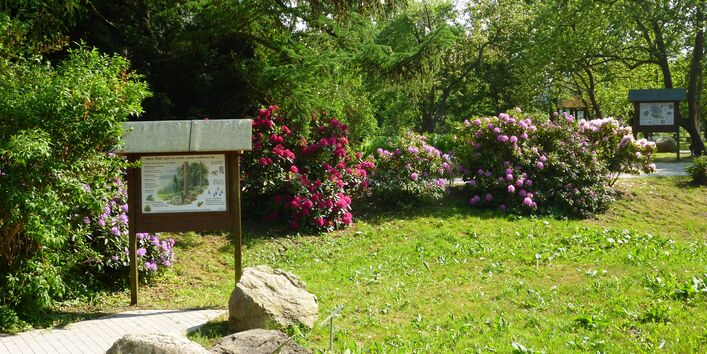 Blick auf Infotafel "Ohne Wald geht es nicht, sonst verlieren wir"