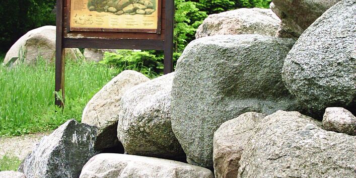 Blick auf Infotafel "Leben im Steinhaufen"
