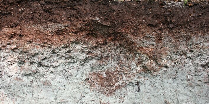 Foto einer Braunerde-Pararendizina