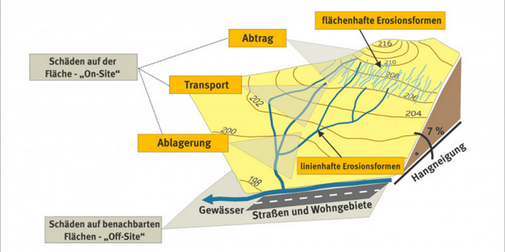 Abbildung 1: Schematische Darstellung des Erosionsgeschehens bei Wassererosion (On-site Erosionsformen und Off-site Ablagerung) 