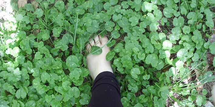 Barfuß durch den Wald