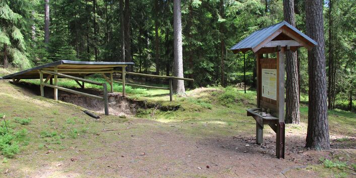 Bodenstation auf dem Walderlebnisweg Glasberg bei Waldsassen