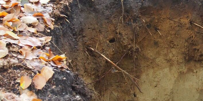 Grube im Bodenlehrpfad Harburger Berge